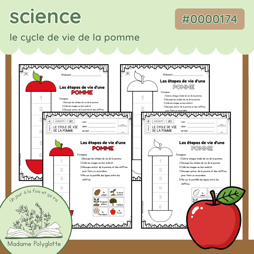 0000174 - Cylce de vie de la pomme