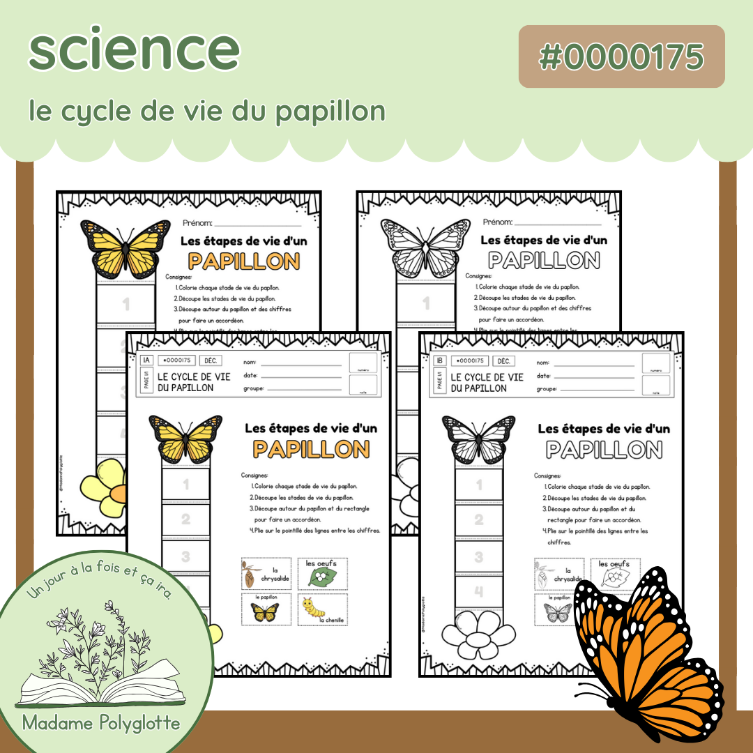 0000175 - Cylce de vie d'un papillon