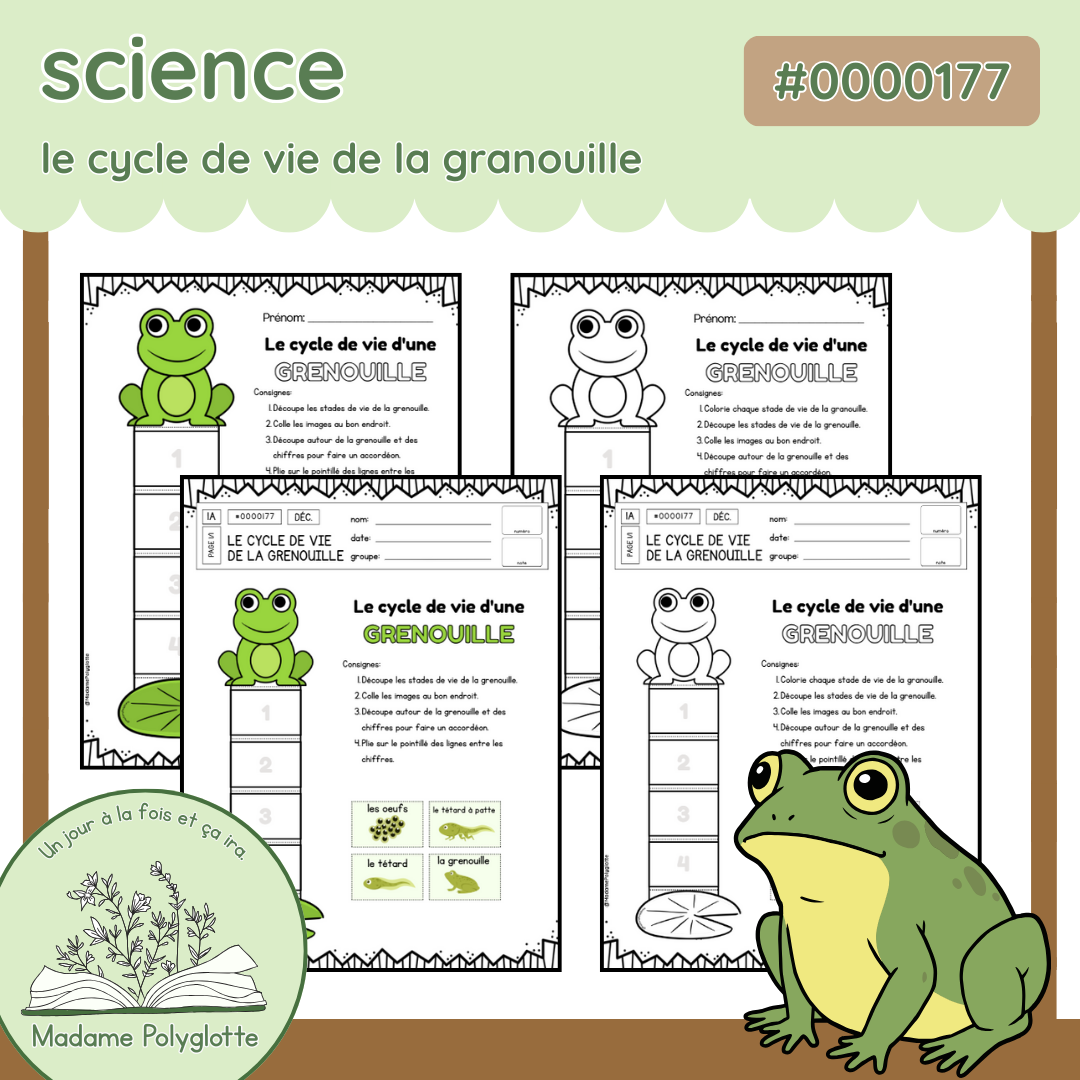 0000177 - Cylce de vie de la grenouille