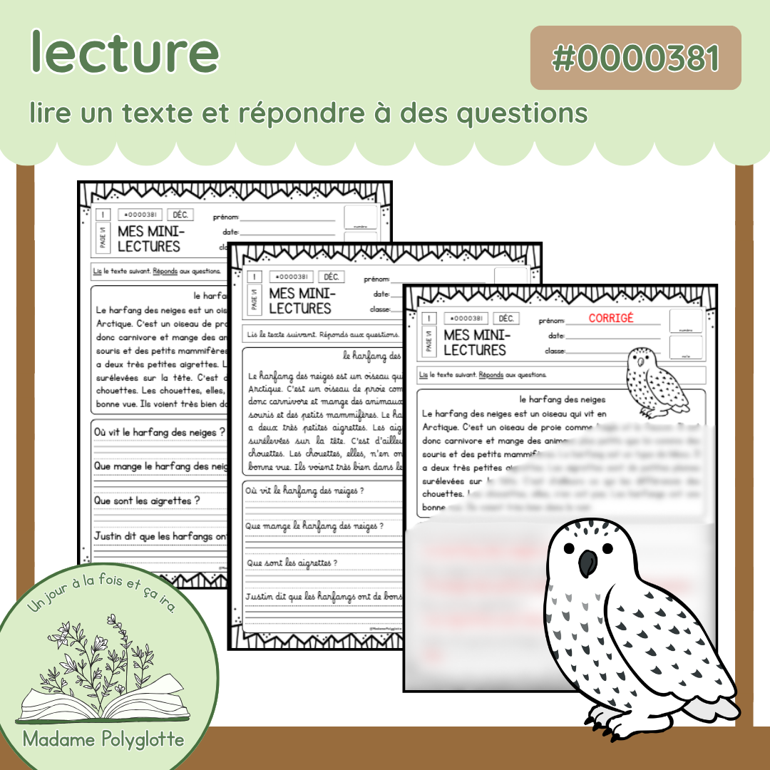 0000381 - Mini lecture - le harfang des neiges