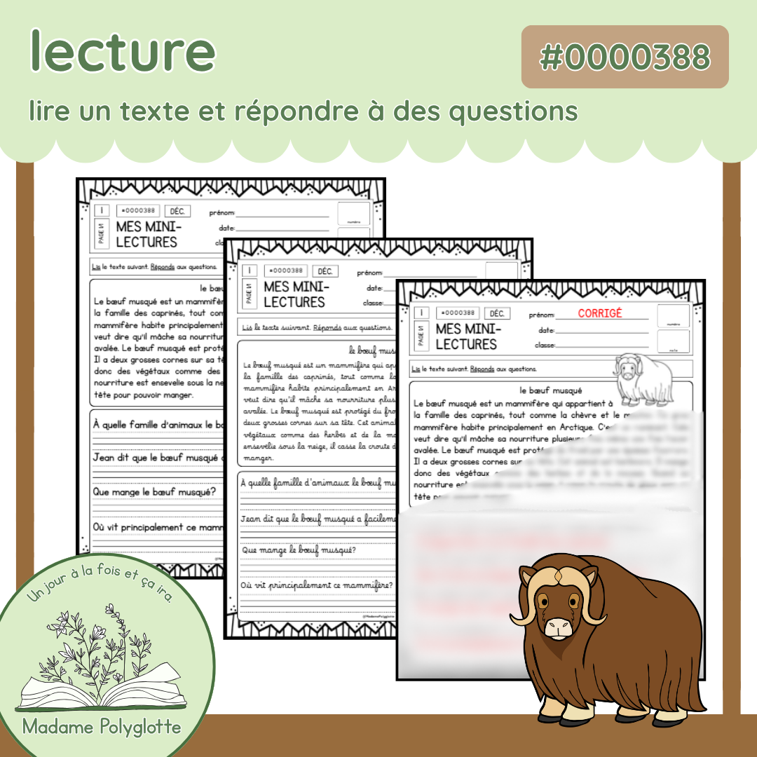 0000388 - Mini lecteur - le bœuf musqué