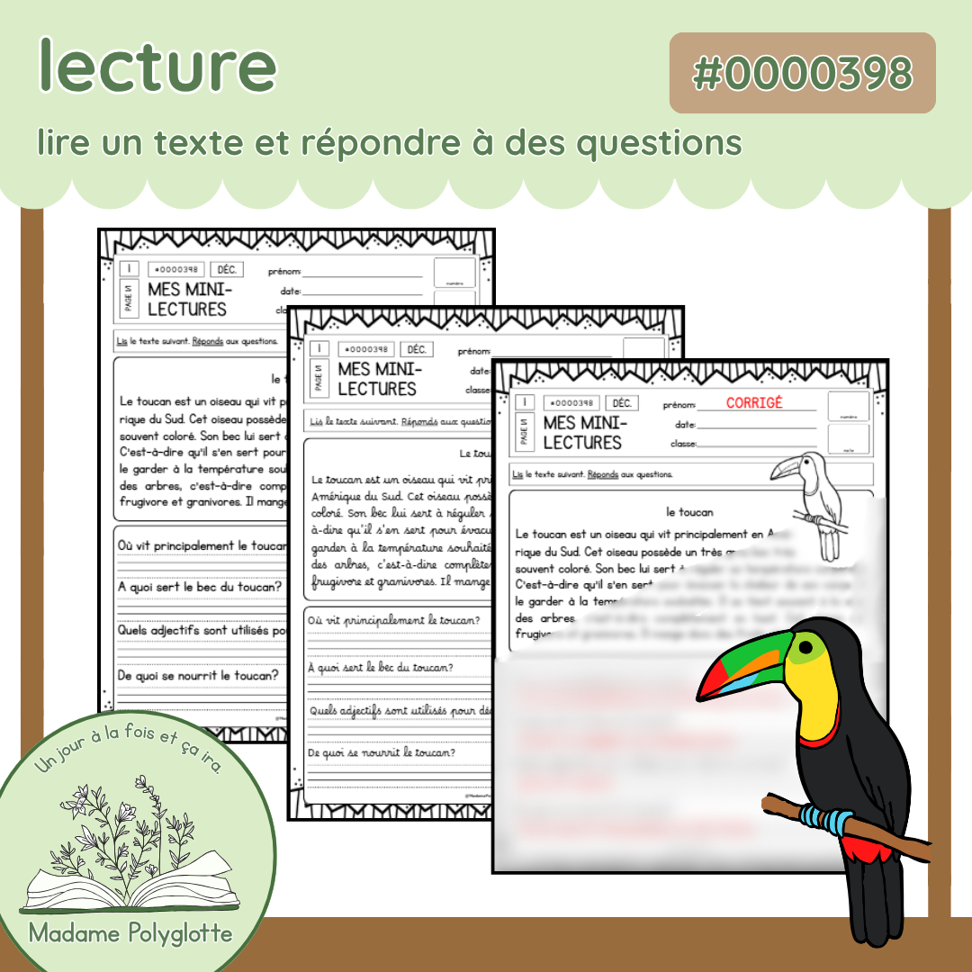 0000398 - Mini-lecture - le toucan