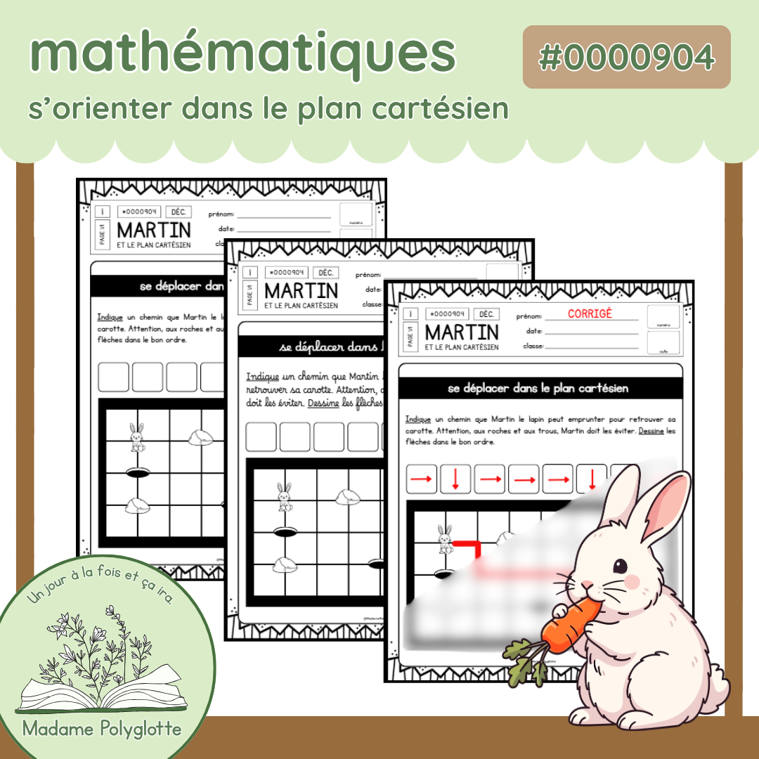 0000904 - Martin et le plan cartésien